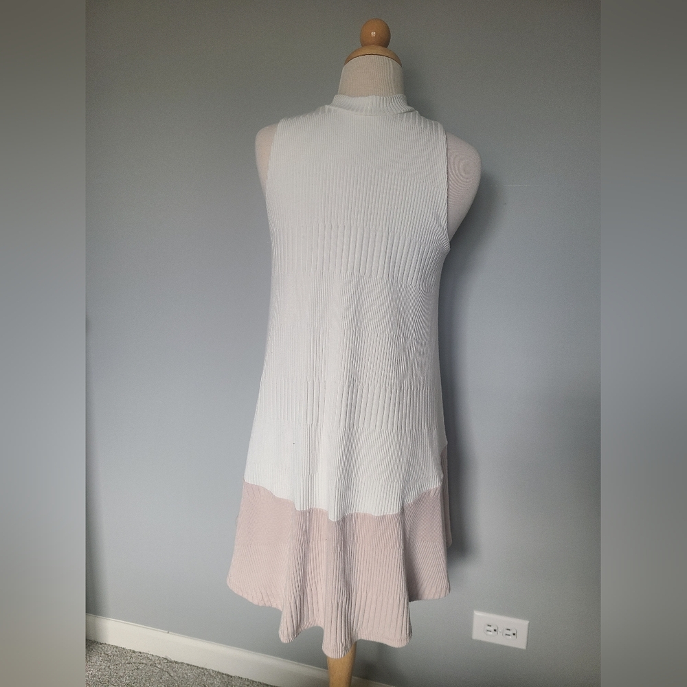 Francesca's Collection knit dress